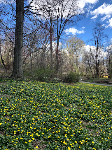 Park «The Loch», reviews and photos, Central Park West, New York, NY 10026, USA