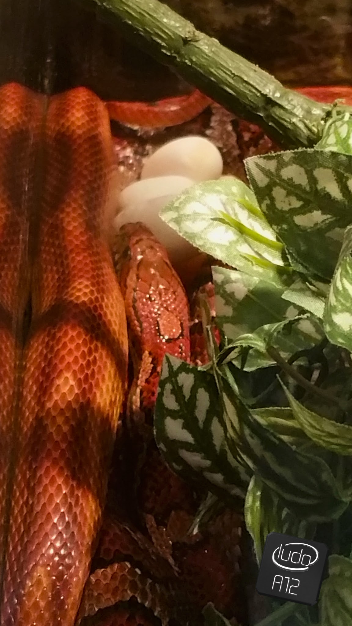 Photo n° 6 de l'avis de ludo.u fait le 16/06/2017 à 18:19