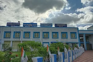 Haldia Government College image
