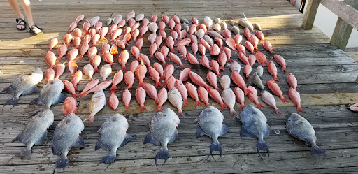 Fishing Charter «Family Tradition Boat Charters», reviews and photos, 1201 Beck Ave, Panama City, FL 32401, USA