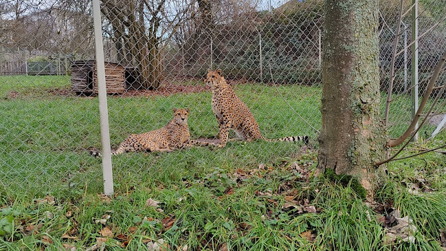 Zoo Saarbrücken Öffnungszeiten