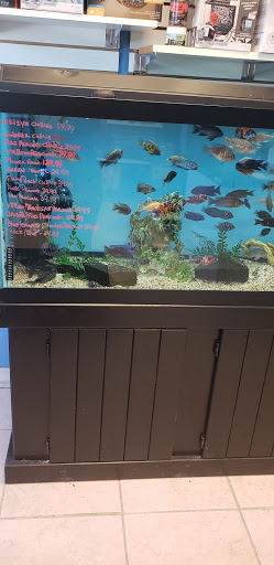 Pet Store «Coral Sea Fish and Pets», reviews and photos, 118 N Gaston Ave, Somerville, NJ 08876, USA
