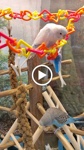 Pet Supply Store «Petco Animal Supplies», reviews and photos, 3774 N Federal Hwy, Lighthouse Point, FL 33064, USA