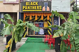 Black Panthers image