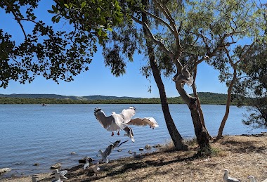 The Causeway Caravan Park