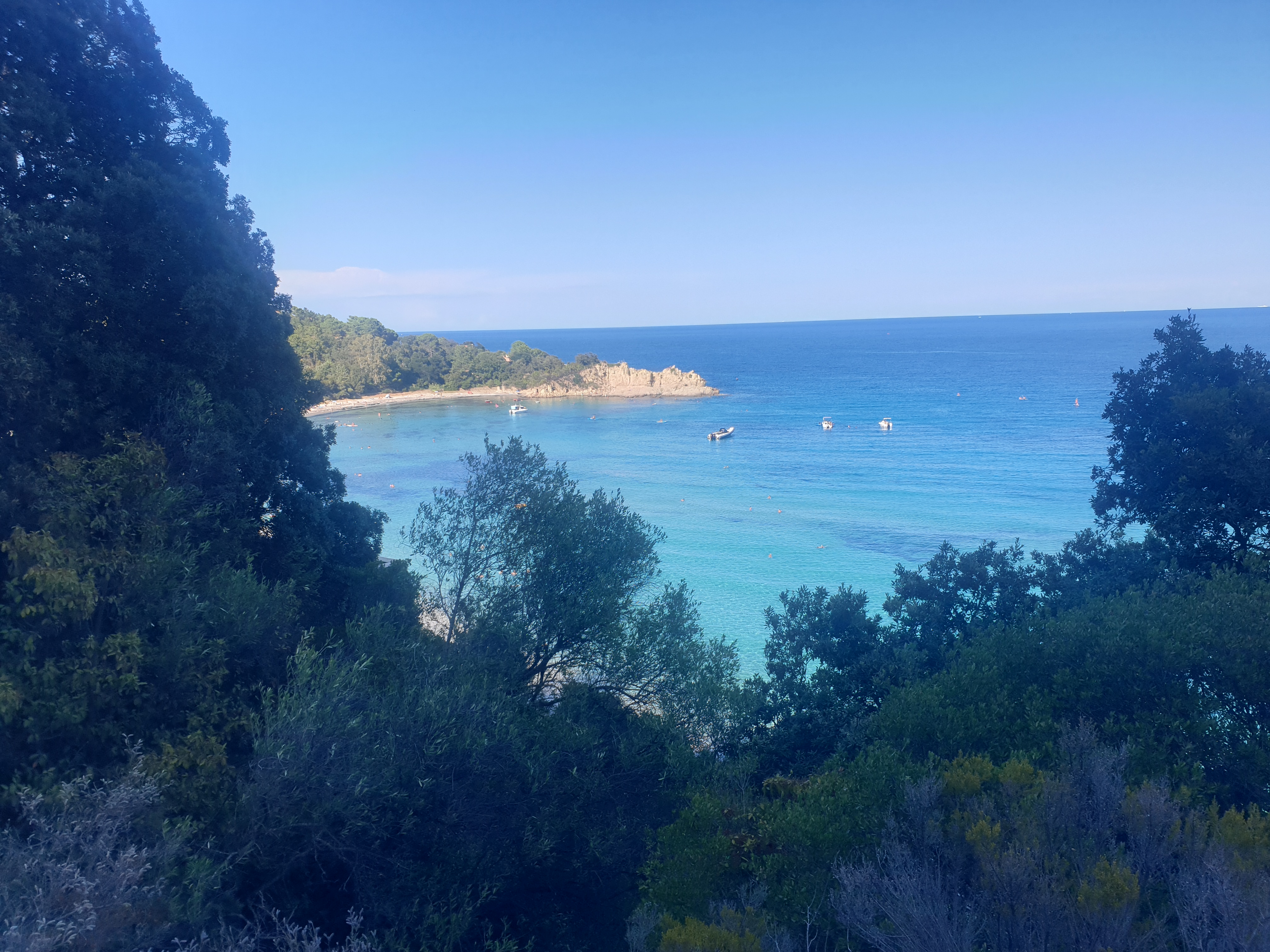 Photo n° 2 de l'avis de LADY. fait le 23/08/2022 à 15:41