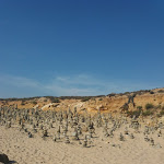 Photo n°1 de l'avis de Nelson.u fait le 10/09/2020 à 20:50 sur le  Pirata Hostel Milfontes & guest house à Vila Nova de Milfontes