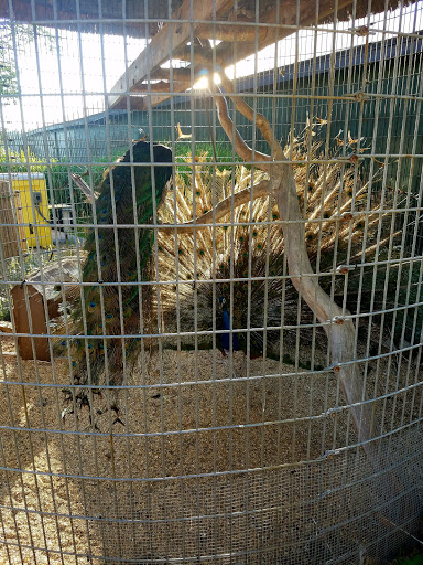 Amusement Park «Canobie Lake Park», reviews and photos, 85 N Policy St, Salem, NH 03079, USA