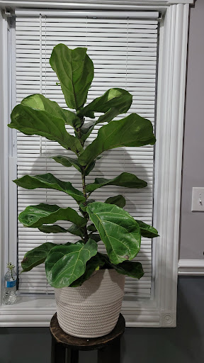 Home Improvement Store «The Home Depot», reviews and photos, 1624 E 165th St, Hammond, IN 46320, USA