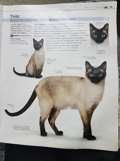 Veterinary Medical Center Dr.Wagner A. Costa Val em Mauá - SP