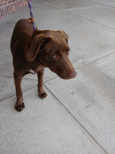 Pet Supply Store «Petco Animal Supplies», reviews and photos, 300 Quaker Ln #3, Warwick, RI 02886, USA