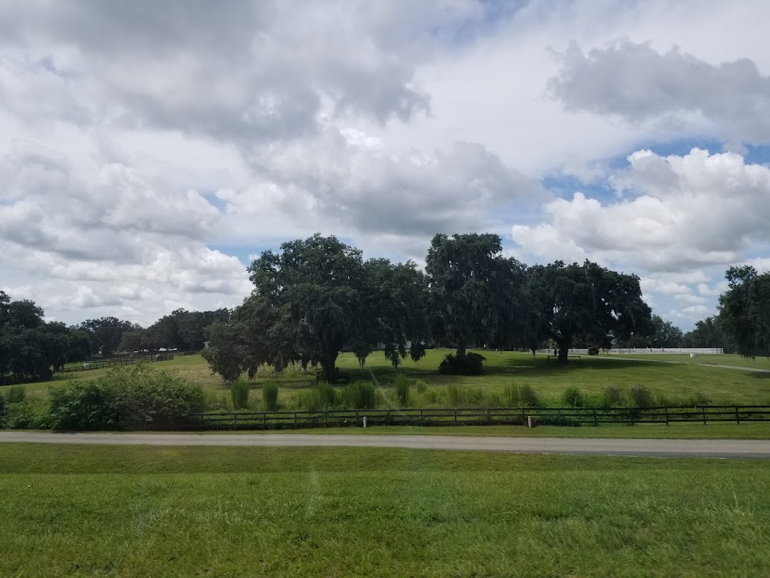 RLR Golden Ocala Golf