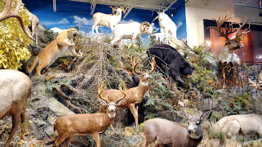 Outdoor Sports Store «Field & Stream», reviews and photos, 520 Clock Tower Way, Crescent Springs, KY 41017, USA