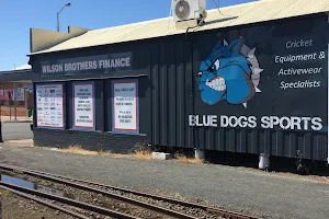 Blue Dogs Sports image
