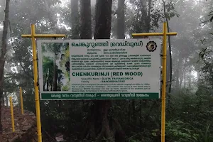 Shendurney Wildlife Sanctuary image