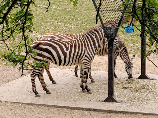 Zoo «Cape May County Park & Zoo», reviews and photos, 707 U.S. 9, Cape May Court House, NJ 08210, USA