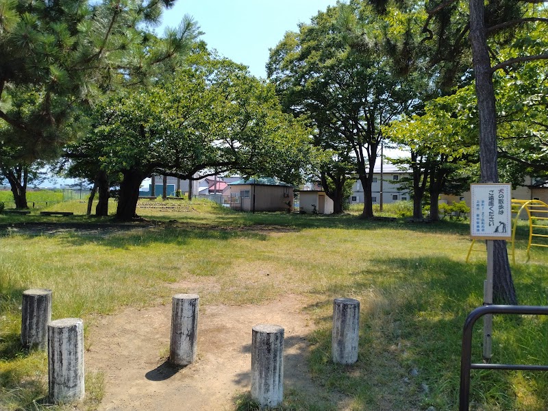 とどろき公園