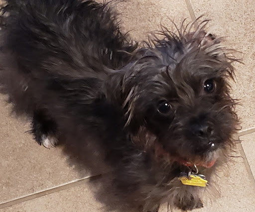 Pet Supply Store «Lemos Feed & Pet Supply», reviews and photos, 1320 Main St, Morro Bay, CA 93442, USA