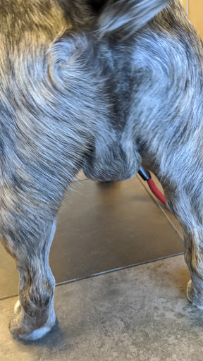 Adobe Animal Hospital South Bay image