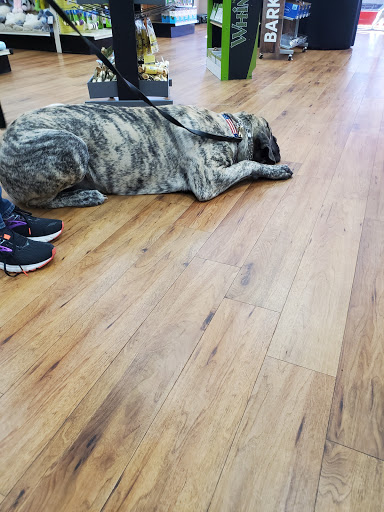 Pet Supply Store «Pet Supermarket», reviews and photos, 1080 Alafaya Trail, Oviedo, FL 32765, USA
