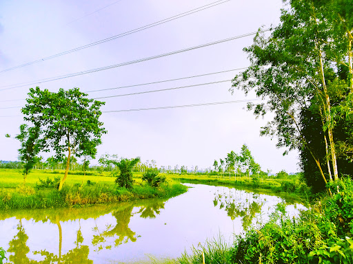 Park «Conant Park», reviews and photos, 310 Conant St, Hillside, NJ 07205, USA