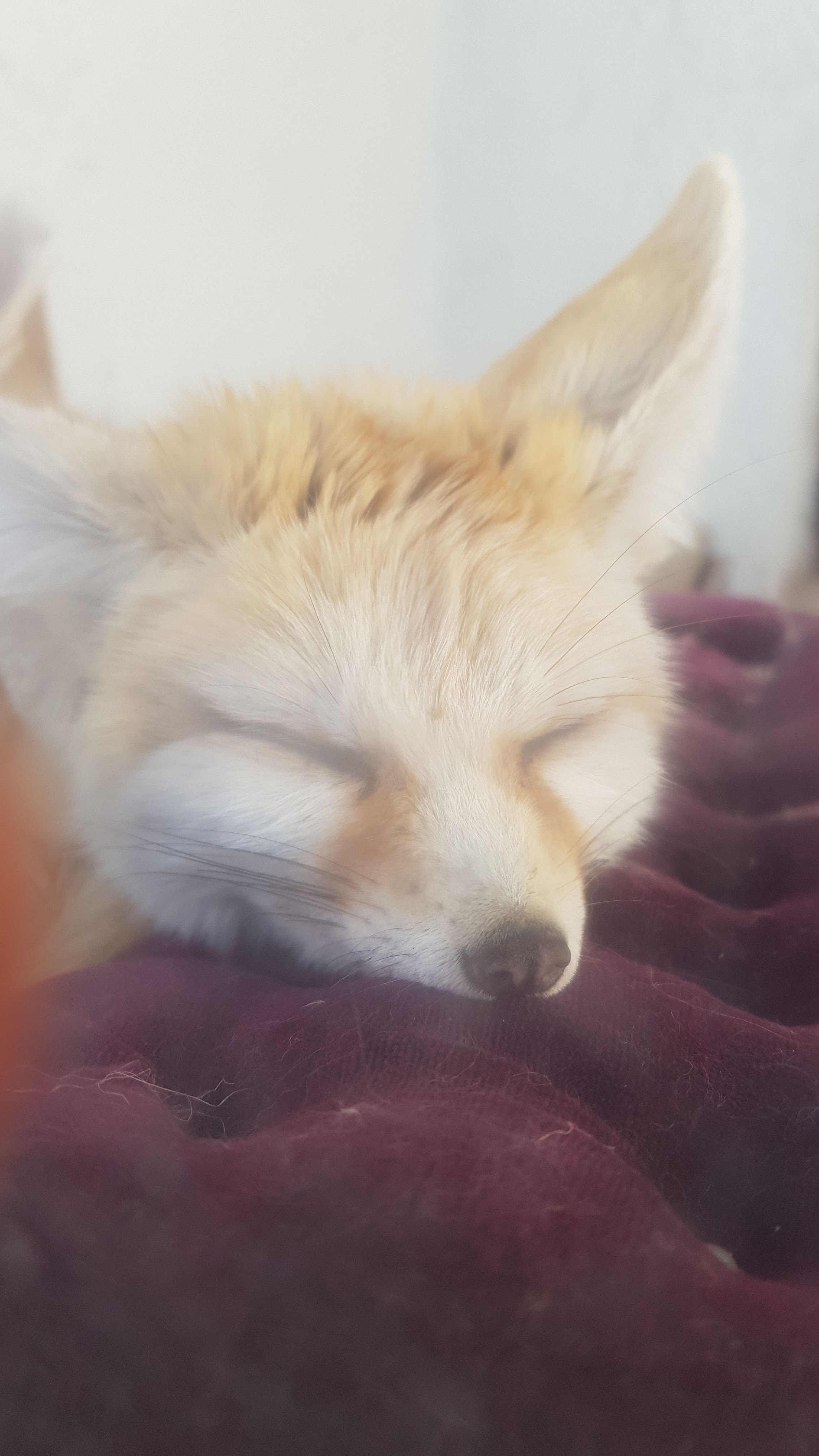Photo n° 3 de l'avis de Julien.o fait le 17/03/2019 à 21:07