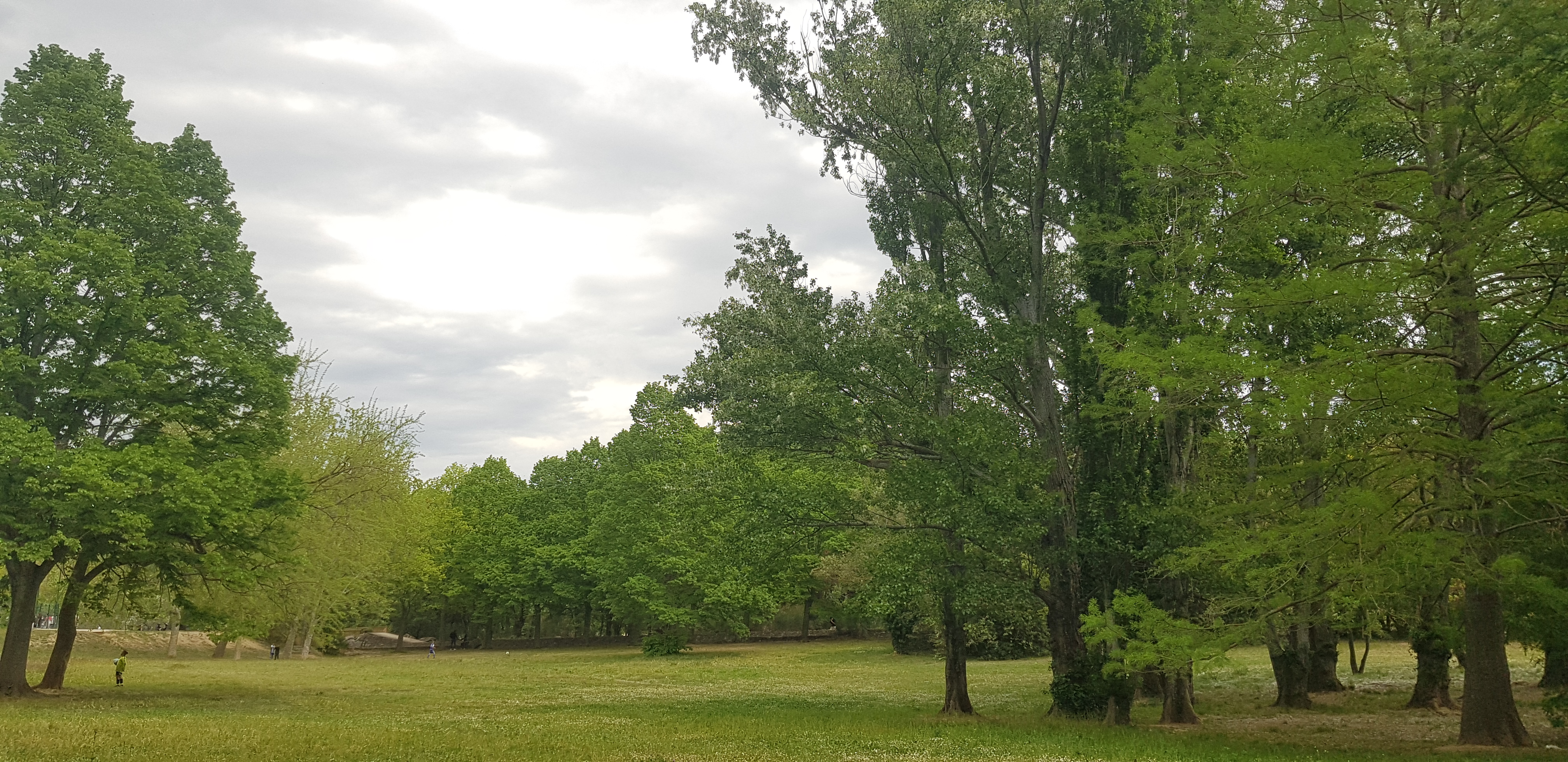 Photo n° 1 de l'avis de Sehra.I fait le 29/04/2023 à 15:55