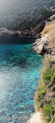 Park «Henry C. Chambers Waterfront Park», reviews and photos, Bay St, Beaufort, SC 29902, USA