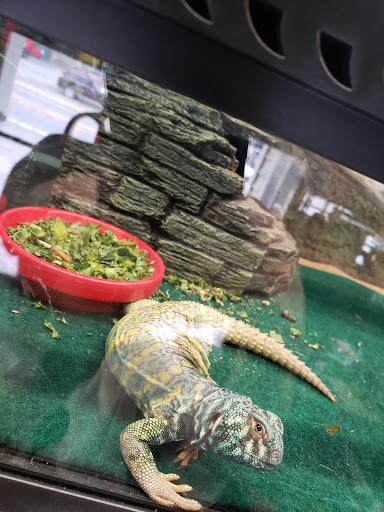 Pet Store «The Pet Stop Pet Shop», reviews and photos, 5152 Route 9w, Newburgh, Newburgh, NY 12550, USA