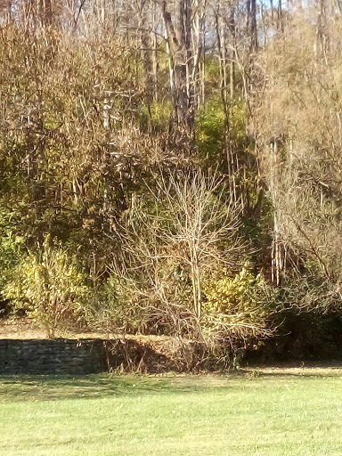 Bicycle Repair Shop «Cycling & Fitness Warehouse», reviews and photos, 213 N 3rd St, Richmond, IN 47374, USA