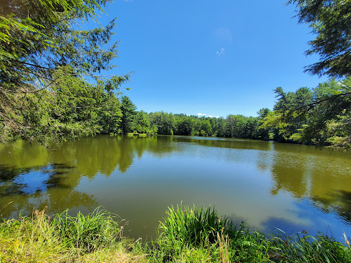 Museum «Dorflinger Glass Museum», reviews and photos, 37 Suydam Dr, White Mills, PA 18473, USA