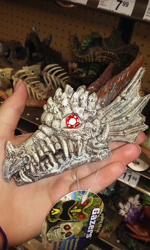 Pet Supply Store «Petco Animal Supplies», reviews and photos, 3454 Palmer Dr #7a, Cameron Park, CA 95682, USA