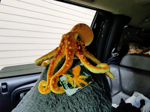 Grocery Store «Safeway», reviews and photos, 1725 Pacific Ave, Woodland, WA 98674, USA