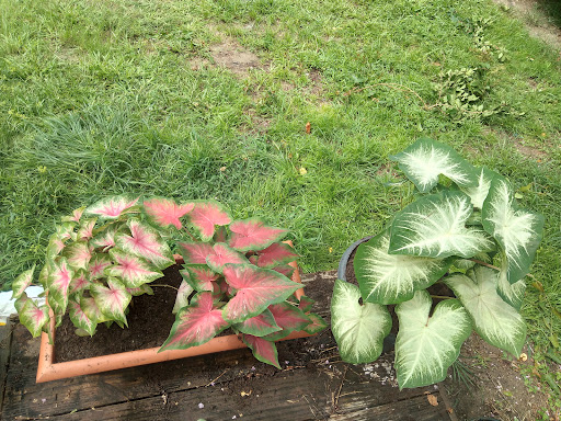 Home Improvement Store «The Home Depot», reviews and photos, 215 SW Home Depot Dr, Lake City, FL 32055, USA