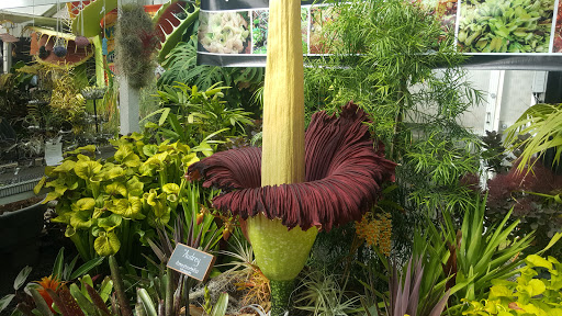 Plant Nursery «California Carnivores», reviews and photos, 2833 Old Gravenstein Hwy, Sebastopol, CA 95472, USA