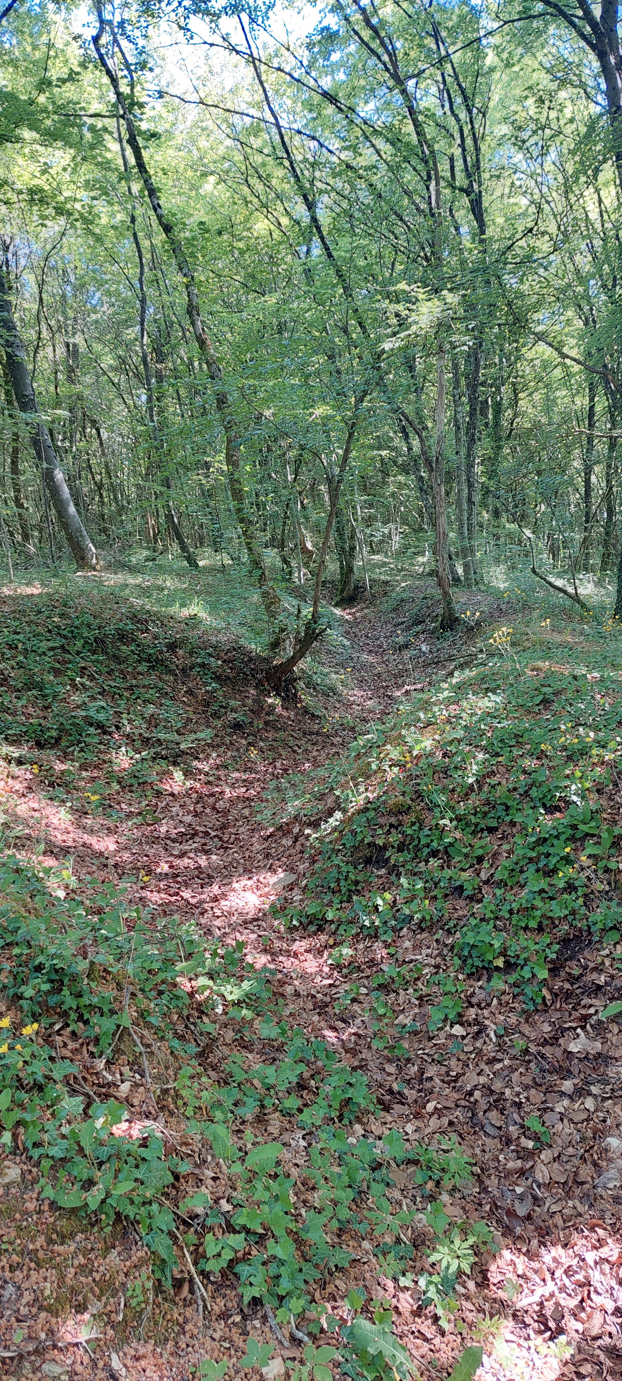 Photo n° 2 de l'avis de Thomas.h fait le 12/06/2023 à 18:43