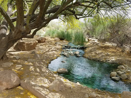 National Reserve «Riparian Preserve at Water Ranch», reviews and photos, 2757 E Guadalupe Rd, Gilbert, AZ 85234, USA