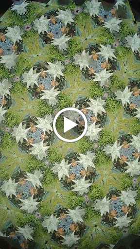 Botanical Garden «Olbrich Botanical Gardens», reviews and photos, 3330 Atwood Ave, Madison, WI 53704, USA