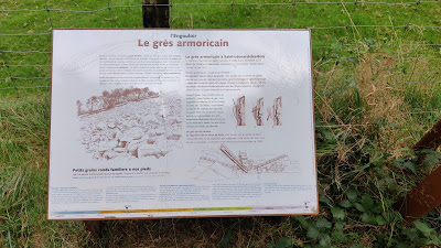 Grès amorican / Carrière de Saint-Leonard à Saint-Léonard-des-Bois
