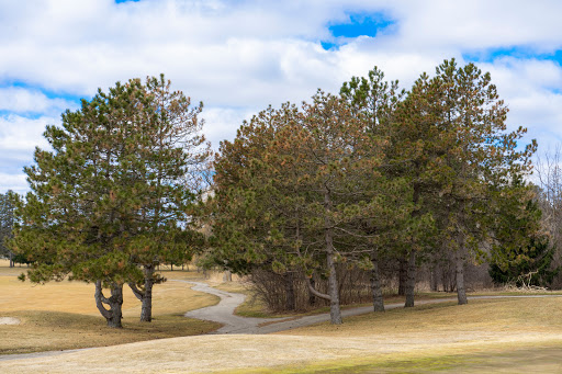 Golf Club «Pine Meadow Golf Club», reviews and photos, 1 Pine Meadow Ln, Mundelein, IL 60060, USA