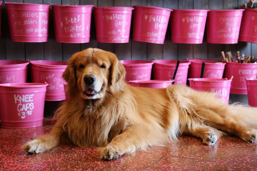 Pet Supply Store «Woof Gang Bakery & Grooming Lake Mary», reviews and photos, 1210 International Pkwy #118, Lake Mary, FL 32746, USA