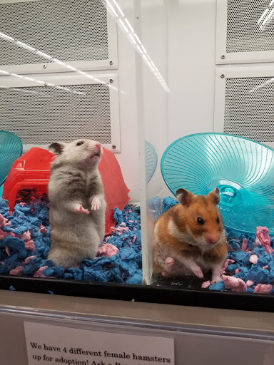 Pet Supply Store «Petco Animal Supplies», reviews and photos, 1150 Concord Ave #160, Concord, CA 94520, USA