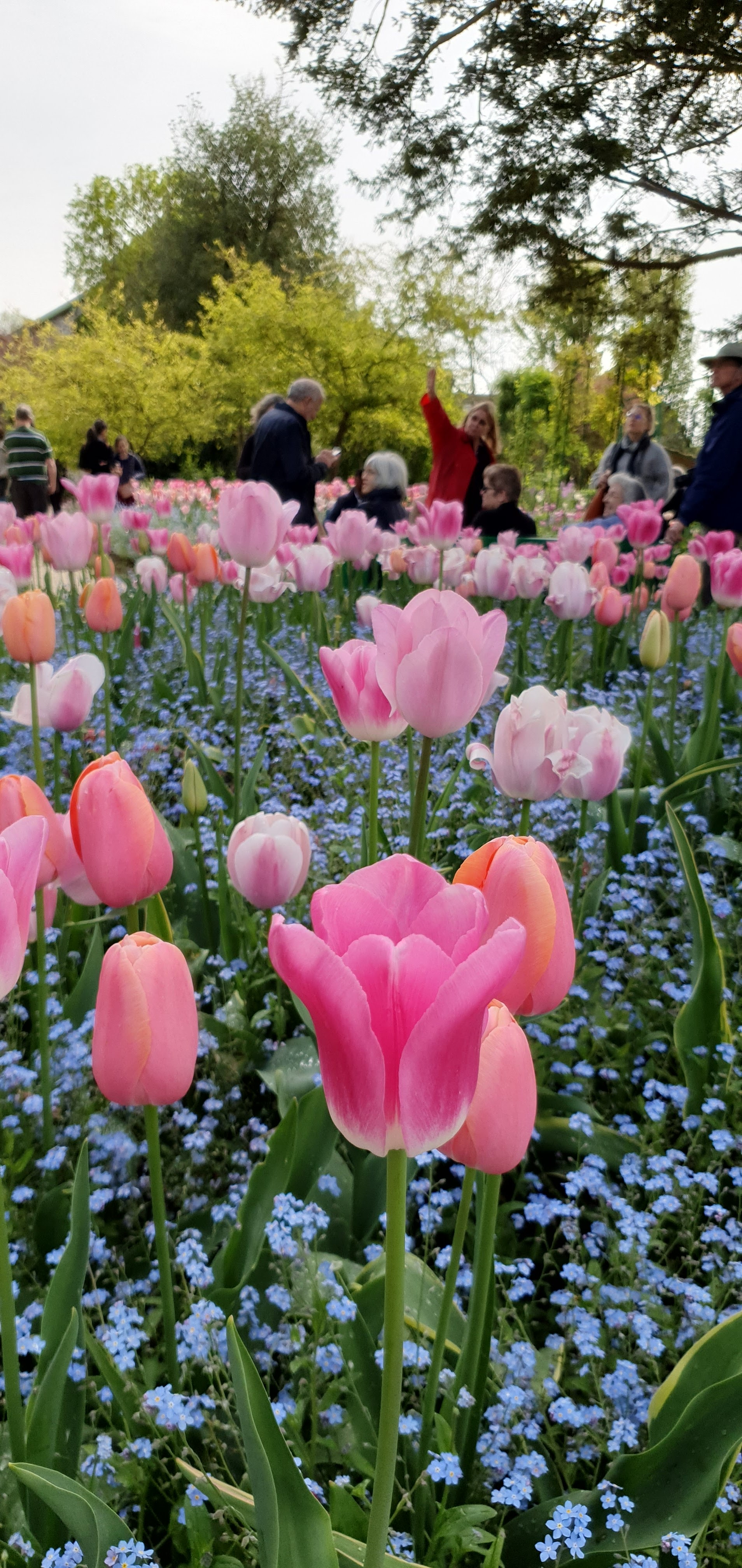 Photo n° 13 de l'avis de CS.. fait le 03/06/2022 à 19:41