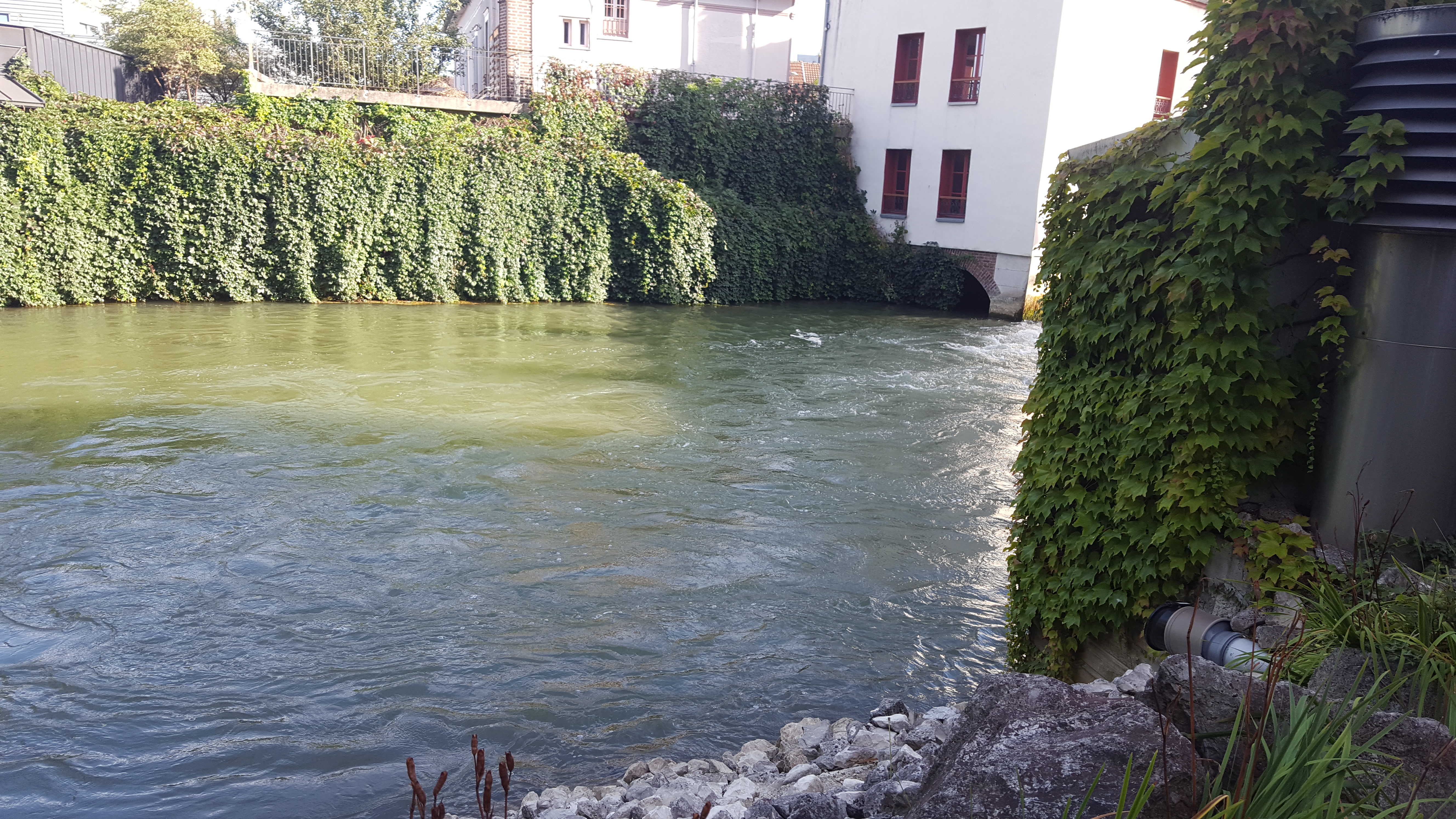Photo n° 12 de l'avis de Dominique.. fait le 09/09/2018 à 08:23