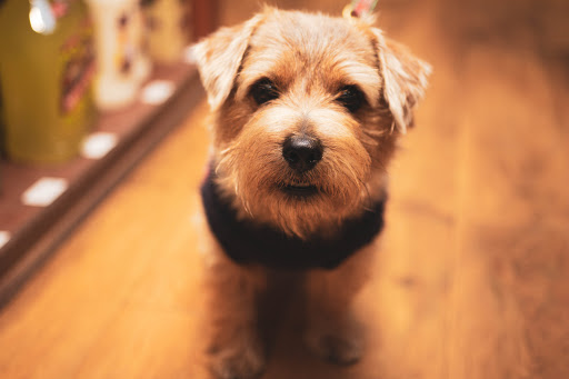 Wine Store «Park Place Wines & Liquors», reviews and photos, 84 Park Pl, East Hampton, NY 11937, USA