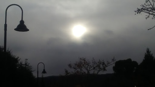 Used Car Dealer «Specialty Sales Classics», reviews and photos, 4321 1st St, Pleasanton, CA 94566, USA