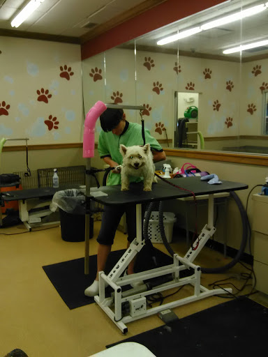 Pet Supply Store «Pet Supplies Plus», reviews and photos, 1500 McMullen Booth Rd, Clearwater, FL 33759, USA