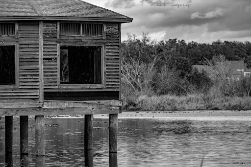 Park «Lake Lotus Park Office», reviews and photos, 1153 Lake Lotus Park Rd, Altamonte Springs, FL 32714, USA