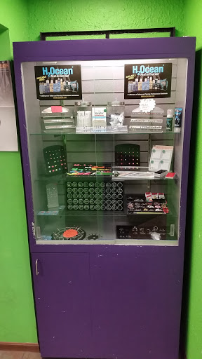 Explore drake tattoo ideas, creative tattoo ideas in Canton, available at InkShak