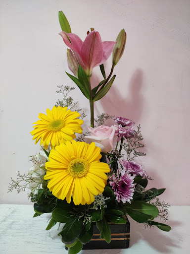 La CASA de las FLORES – Abasolo